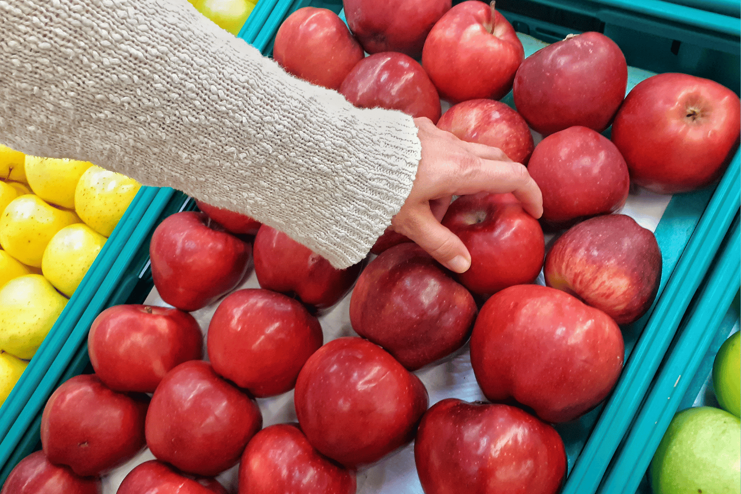 Fruta seleccionada para una empresa